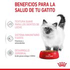 Royal Canin Kitten Instinctive sobre en salsa para gatos, , large image number null
